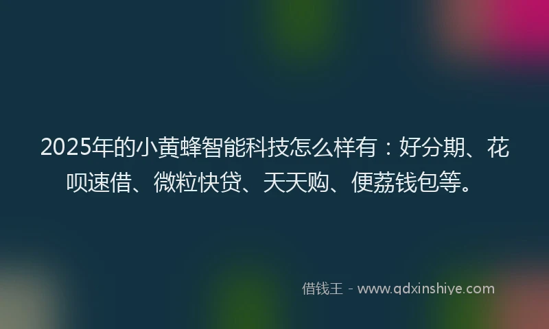 2025年的小黄蜂智能科技怎么样有：好分期、花呗速借、微粒快贷、天天购、便荔钱包等。