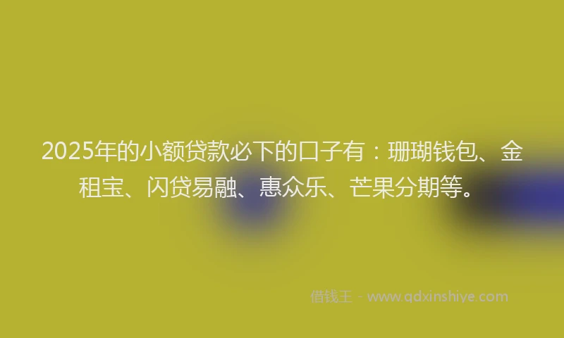 2025年的小额贷款必下的口子有：珊瑚钱包、金租宝、闪贷易融、惠众乐、芒果分期等。