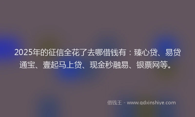 2025年的征信全花了去哪借钱有：臻心贷、易贷通宝、壹起马上贷、现金秒融易、银票网等。