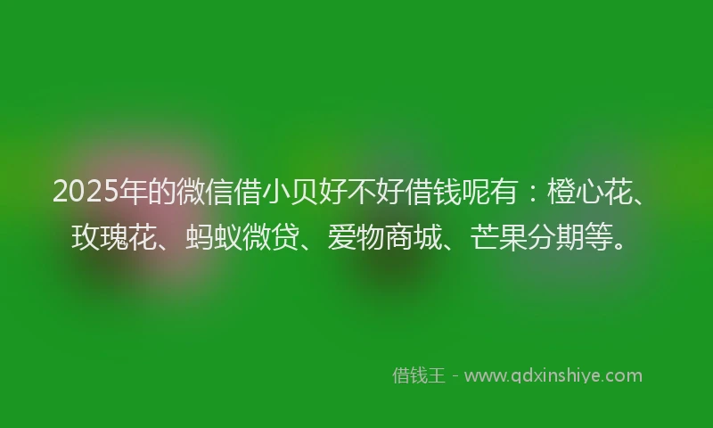 2025年的微信借小贝好不好借钱呢有：橙心花、玫瑰花、蚂蚁微贷、爱物商城、芒果分期等。