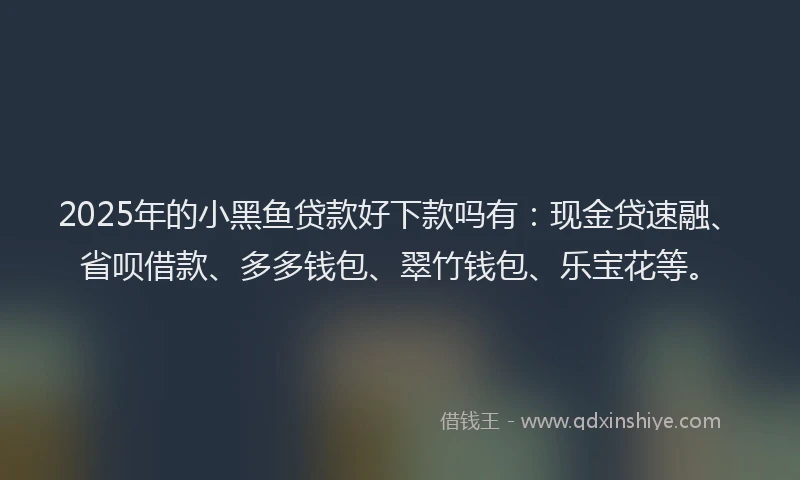 2025年的小黑鱼贷款好下款吗有：现金贷速融、省呗借款、多多钱包、翠竹钱包、乐宝花等。