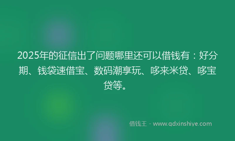 2025年的征信出了问题哪里还可以借钱有：好分期、钱袋速借宝、数码潮享玩、哆来米贷、哆宝贷等。