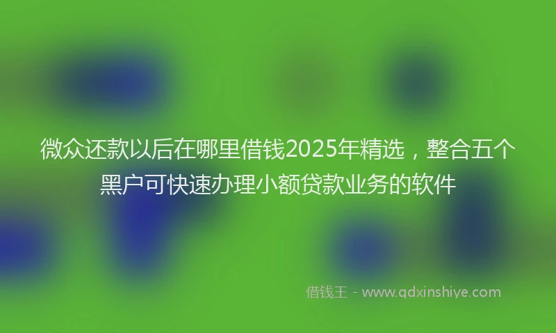 微众还款以后在哪里借钱2025年精选，整合五个黑户可快速办理小额贷款业务的软件