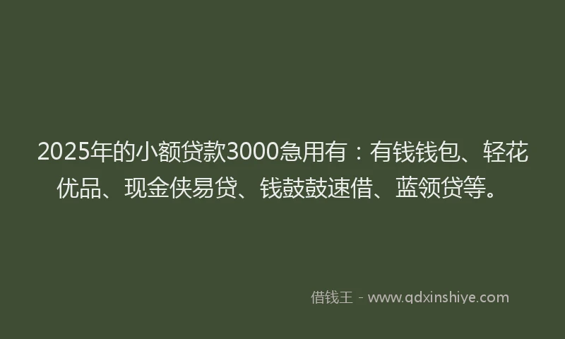 2025年的小额贷款3000急用有：有钱钱包、轻花优品、现金侠易贷、钱鼓鼓速借、蓝领贷等。
