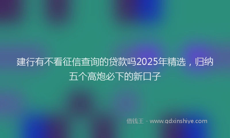 建行有不看征信查询的贷款吗2025年精选，归纳五个高炮必下的新口子