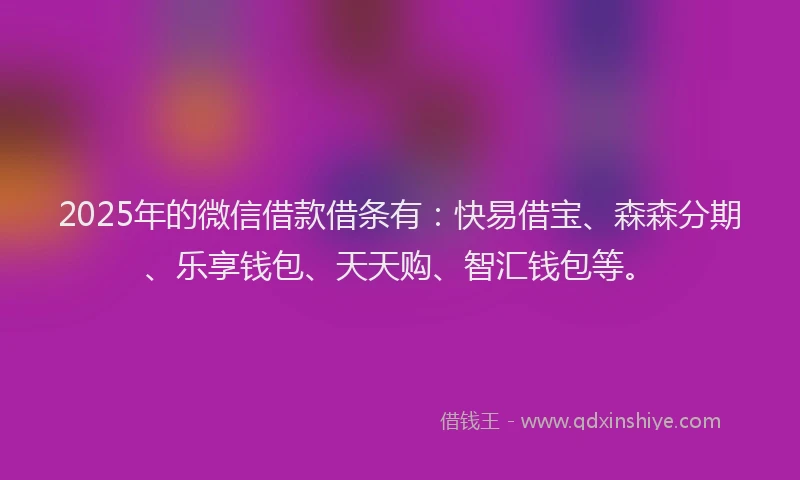 2025年的微信借款借条有：快易借宝、森森分期、乐享钱包、天天购、智汇钱包等。