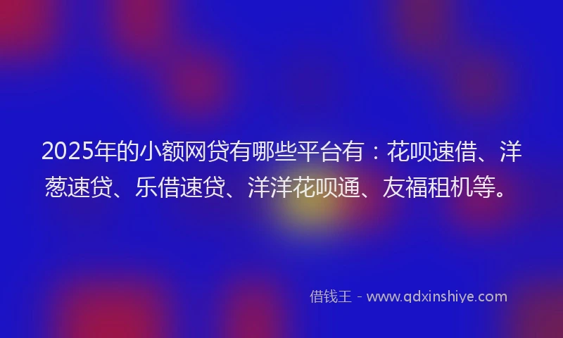 2025年的小额网贷有哪些平台有：花呗速借、洋葱速贷、乐借速贷、洋洋花呗通、友福租机等。