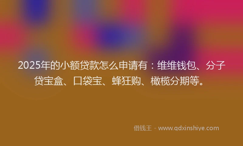 2025年的小额贷款怎么申请有：维维钱包、分子贷宝盒、口袋宝、蜂狂购、橄榄分期等。