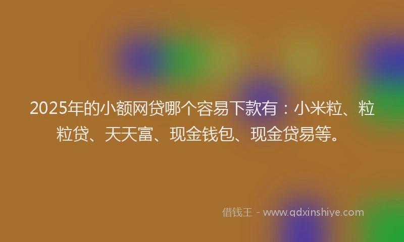 2025年的小额网贷哪个容易下款有：小米粒、粒粒贷、天天富、现金钱包、现金贷易等。