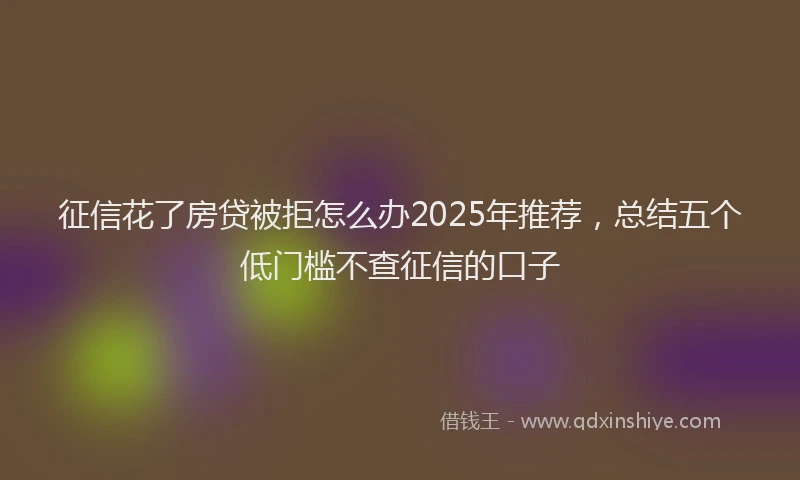征信花了房贷被拒怎么办2025年推荐，总结五个低门槛不查征信的口子