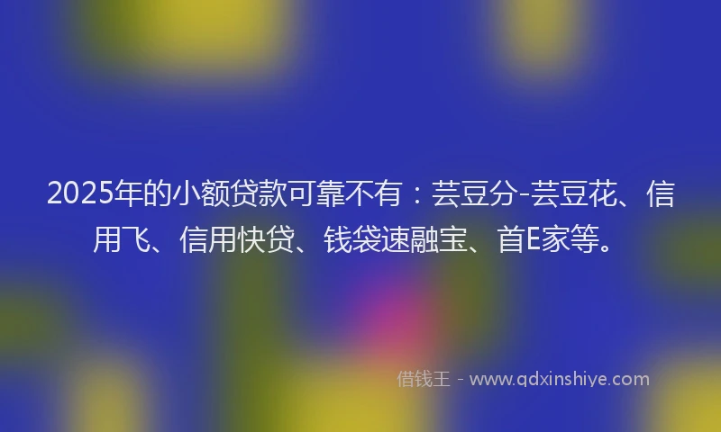 2025年的小额贷款可靠不有：芸豆分-芸豆花、信用飞、信用快贷、钱袋速融宝、首E家等。