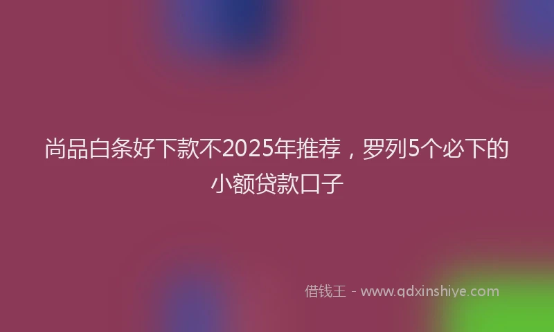 尚品白条好下款不2025年推荐，罗列5个必下的小额贷款口子