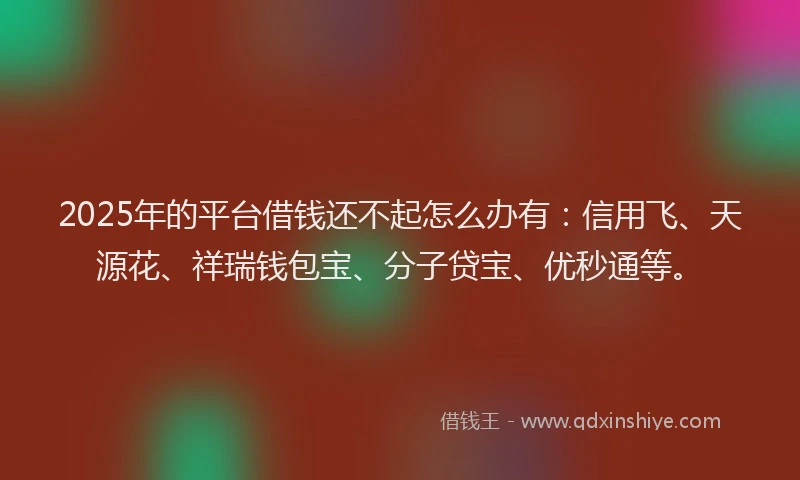 2025年的平台借钱还不起怎么办有：信用飞、天源花、祥瑞钱包宝、分子贷宝、优秒通等。