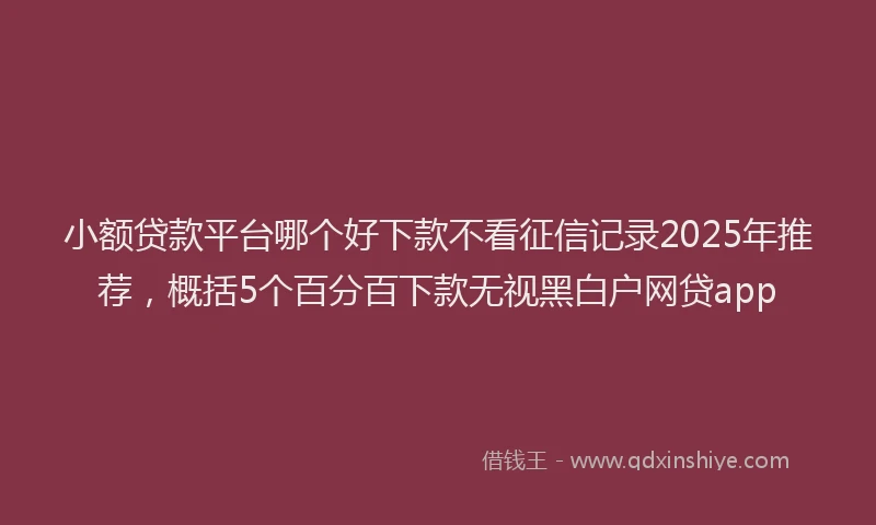 小额贷款平台哪个好下款不看征信记录2025年推荐，概括5个百分百下款无视黑白户网贷app