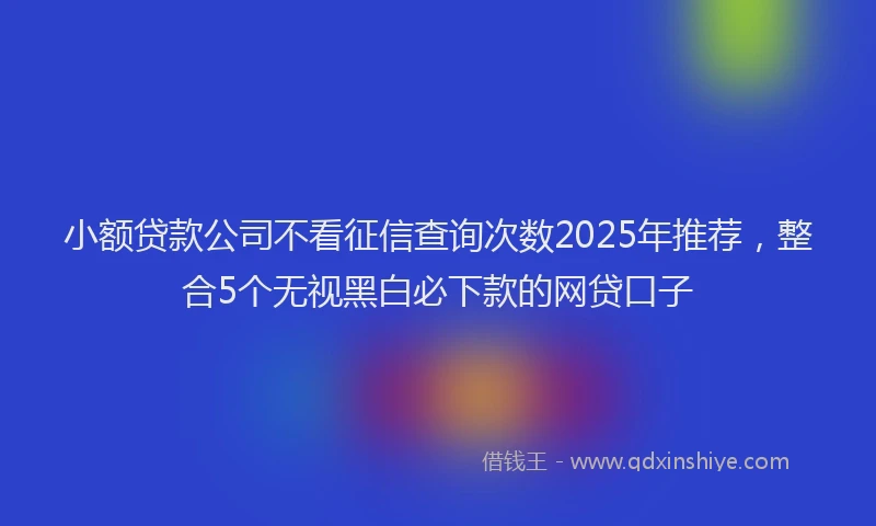 小额贷款公司不看征信查询次数2025年推荐，整合5个无视黑白必下款的网贷口子