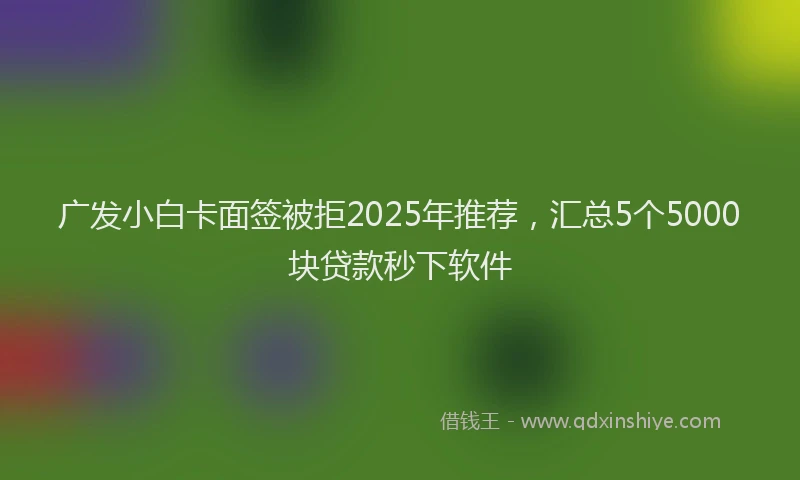 广发小白卡面签被拒2025年推荐，汇总5个5000块贷款秒下软件