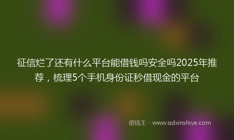 征信烂了还有什么平台能借钱吗安全吗2025年推荐，梳理5个手机身份证秒借现金的平台