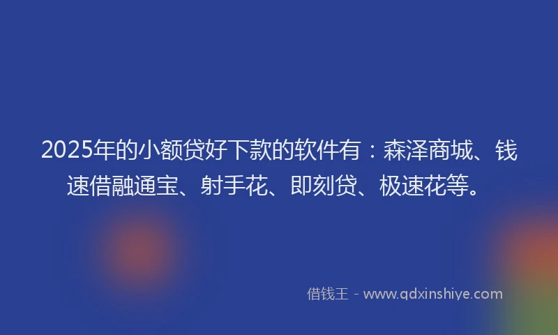 2025年的小额贷好下款的软件有：森泽商城、钱速借融通宝、射手花、即刻贷、极速花等。