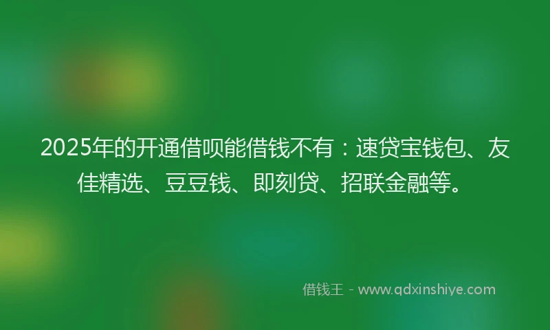 2025年的开通借呗能借钱不有：速贷宝钱包、友佳精选、豆豆钱、即刻贷、招联金融等。