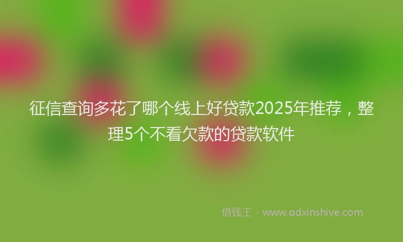 征信查询多花了哪个线上好贷款2025年推荐，整理5个不看欠款的贷款软件