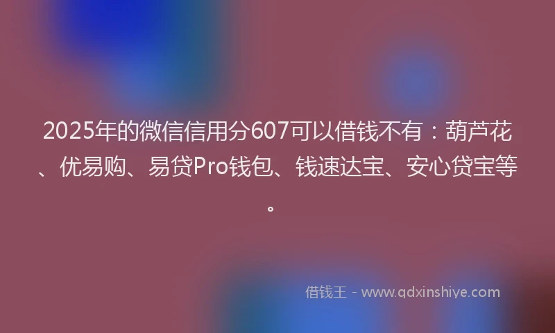 2025年的微信信用分607可以借钱不有：葫芦花、优易购、易贷Pro钱包、钱速达宝、安心贷宝等。