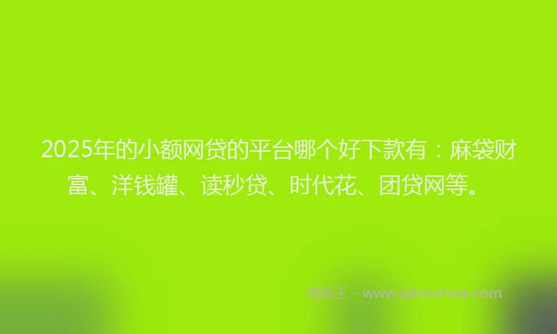 2025年的小额网贷的平台哪个好下款有：麻袋财富、洋钱罐、读秒贷、时代花、团贷网等。