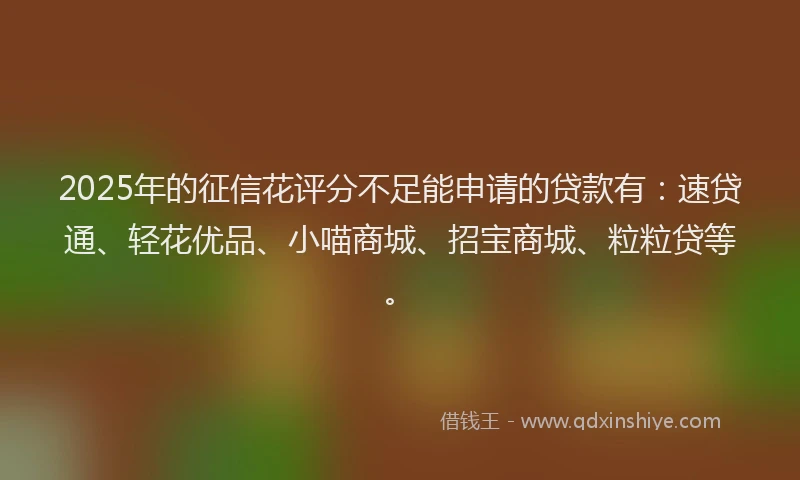 2025年的征信花评分不足能申请的贷款有：速贷通、轻花优品、小喵商城、招宝商城、粒粒贷等。