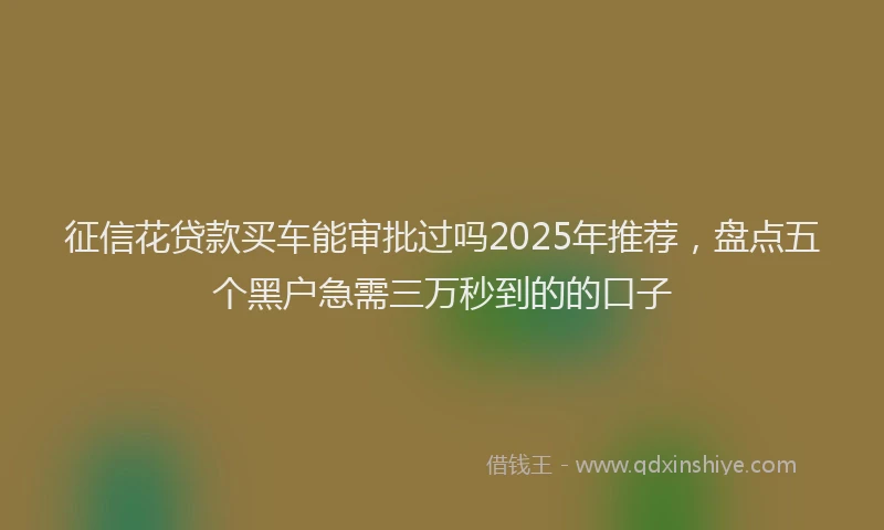 征信花贷款买车能审批过吗2025年推荐，盘点五个黑户急需三万秒到的的口子