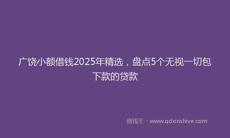 广饶小额借钱2025年精选，盘点5个无视一切包下款的贷款
