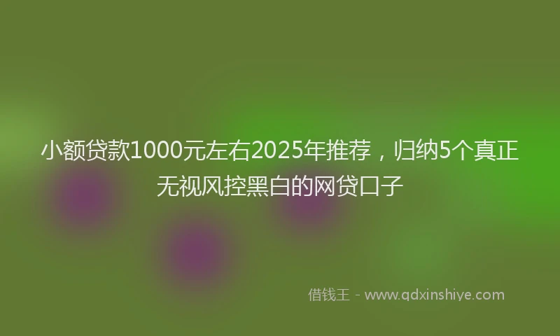 小额贷款1000元左右2025年推荐，归纳5个真正无视风控黑白的网贷口子