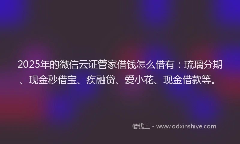 2025年的微信云证管家借钱怎么借有：琉璃分期、现金秒借宝、疾融贷、爱小花、现金借款等。