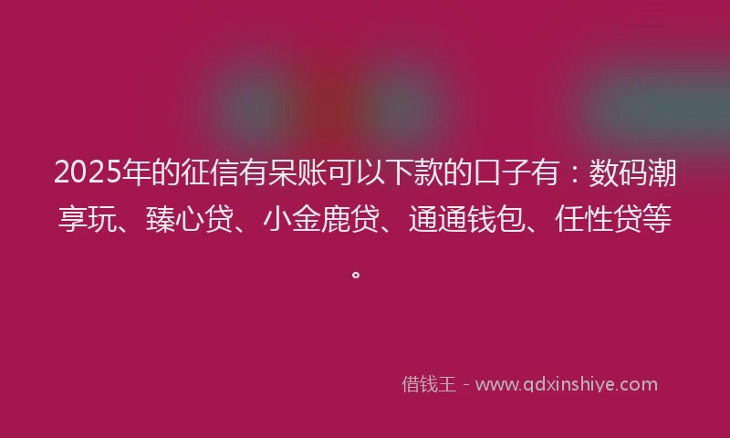 2025年的征信有呆账可以下款的口子有：数码潮享玩、臻心贷、小金鹿贷、通通钱包、任性贷等。