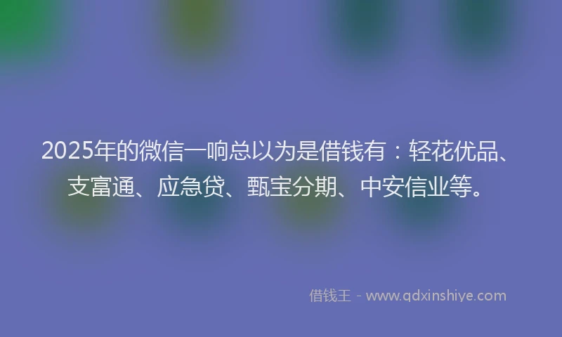 2025年的微信一响总以为是借钱有：轻花优品、支富通、应急贷、甄宝分期、中安信业等。