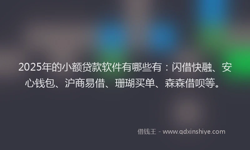 2025年的小额贷款软件有哪些有：闪借快融、安心钱包、沪商易借、珊瑚买单、森森借呗等。
