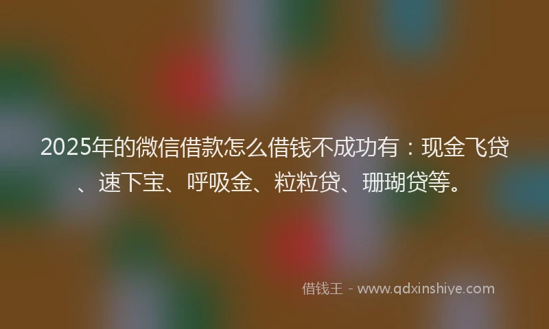 2025年的微信借款怎么借钱不成功有：现金飞贷、速下宝、呼吸金、粒粒贷、珊瑚贷等。