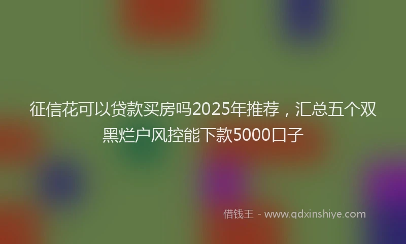 征信花可以贷款买房吗2025年推荐，汇总五个双黑烂户风控能下款5000口子