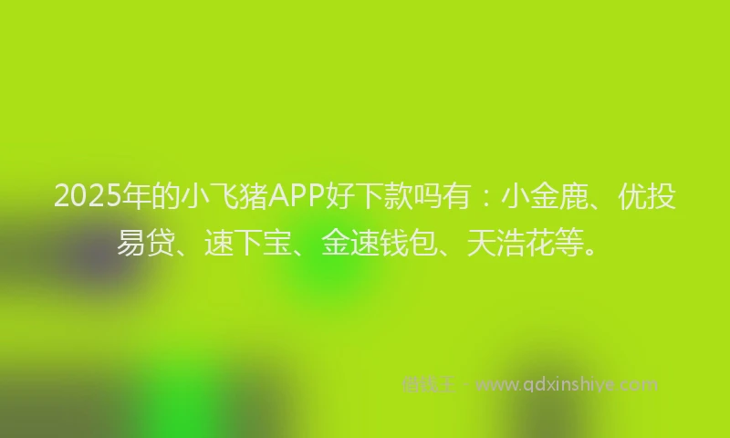 2025年的小飞猪APP好下款吗有：小金鹿、优投易贷、速下宝、金速钱包、天浩花等。