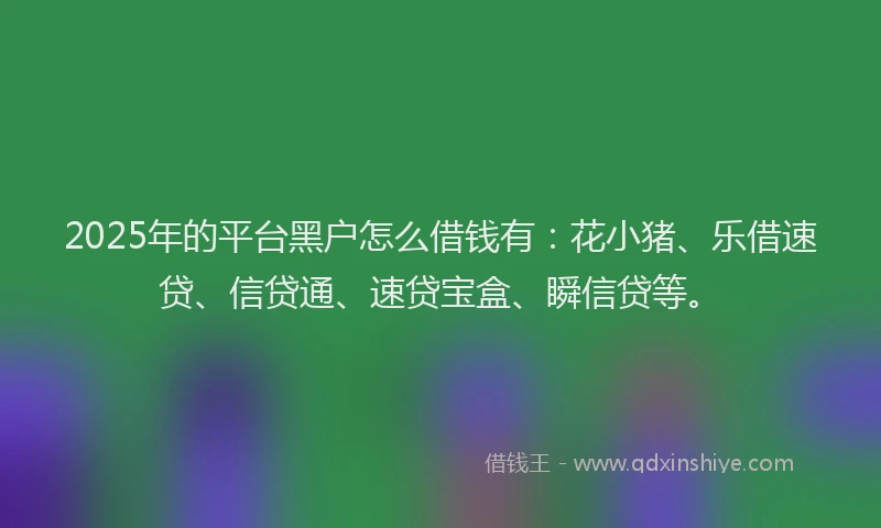 2025年的平台黑户怎么借钱有：花小猪、乐借速贷、信贷通、速贷宝盒、瞬信贷等。