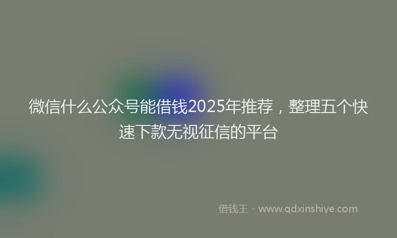 微信什么公众号能借钱2025年推荐，整理五个快速下款无视征信的平台