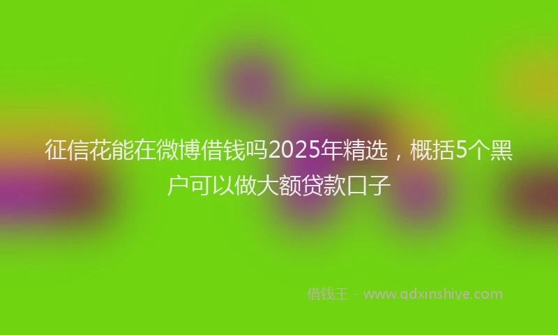 征信花能在微博借钱吗2025年精选，概括5个黑户可以做大额贷款口子