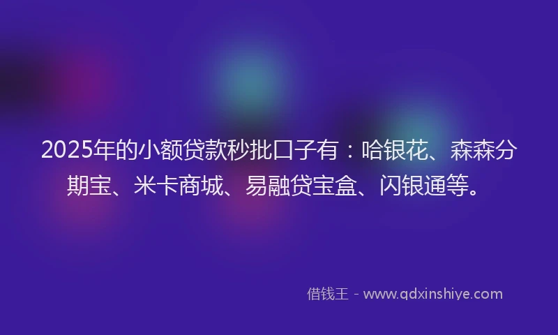 2025年的小额贷款秒批口子有：哈银花、森森分期宝、米卡商城、易融贷宝盒、闪银通等。