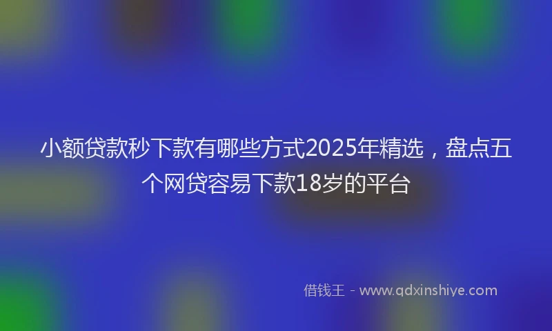 小额贷款秒下款有哪些方式2025年精选，盘点五个网贷容易下款18岁的平台