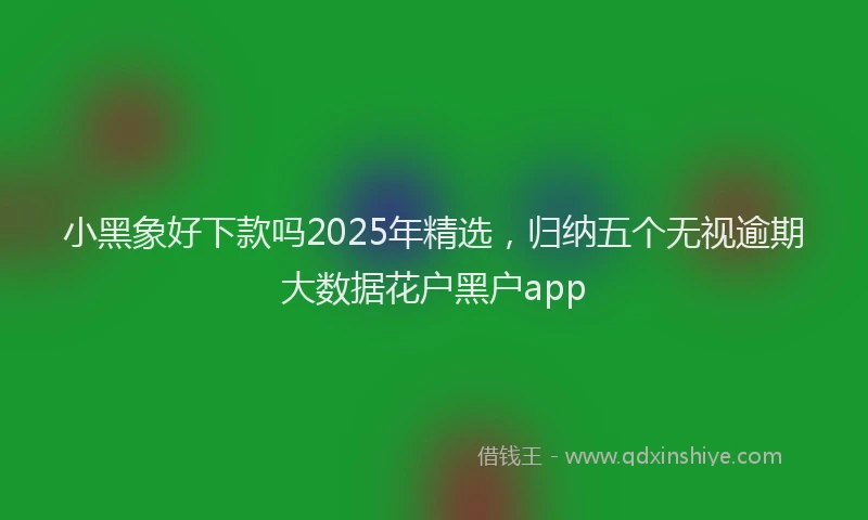 小黑象好下款吗2025年精选，归纳五个无视逾期大数据花户黑户app