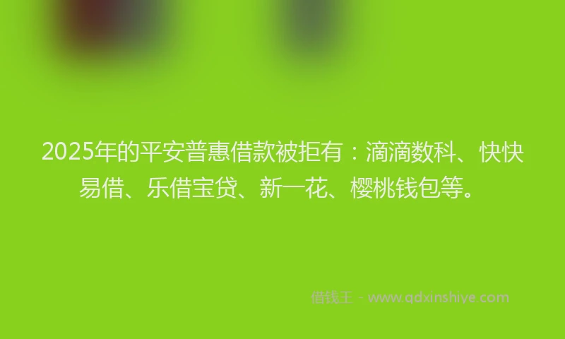 2025年的平安普惠借款被拒有：滴滴数科、快快易借、乐借宝贷、新一花、樱桃钱包等。