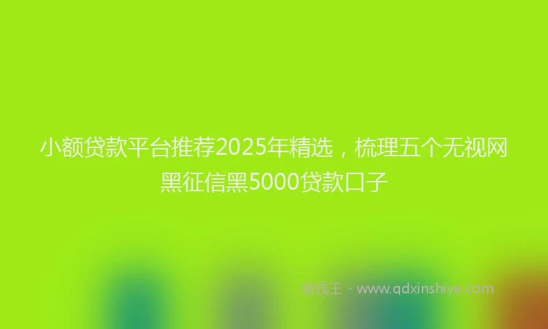 小额贷款平台推荐2025年精选，梳理五个无视网黑征信黑5000贷款口子