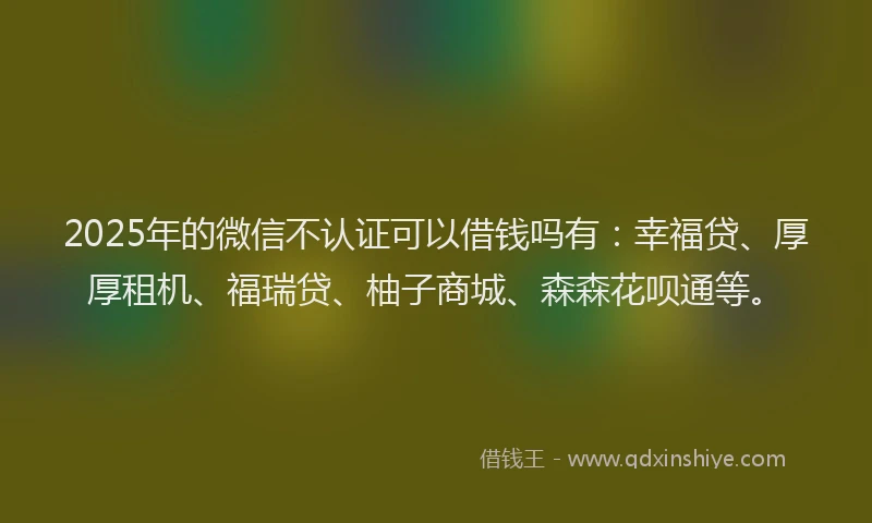 2025年的微信不认证可以借钱吗有：幸福贷、厚厚租机、福瑞贷、柚子商城、森森花呗通等。