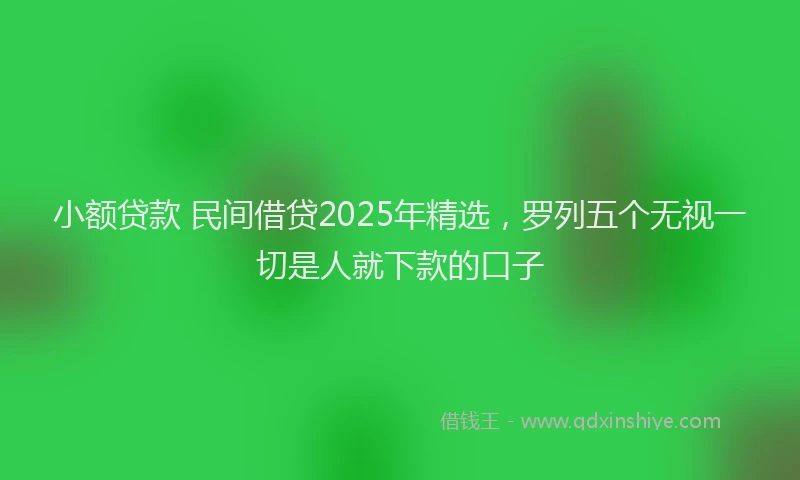 小额贷款 民间借贷2025年精选，罗列五个无视一切是人就下款的口子