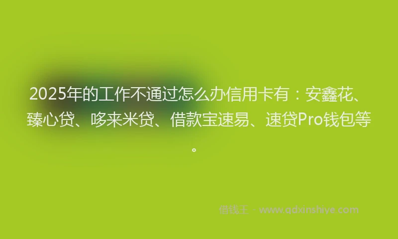 2025年的工作不通过怎么办信用卡有：安鑫花、臻心贷、哆来米贷、借款宝速易、速贷Pro钱包等。