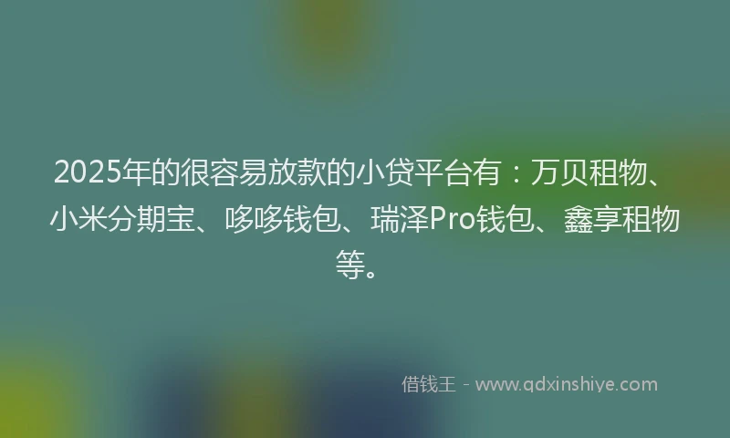 2025年的很容易放款的小贷平台有：万贝租物、小米分期宝、哆哆钱包、瑞泽Pro钱包、鑫享租物等。