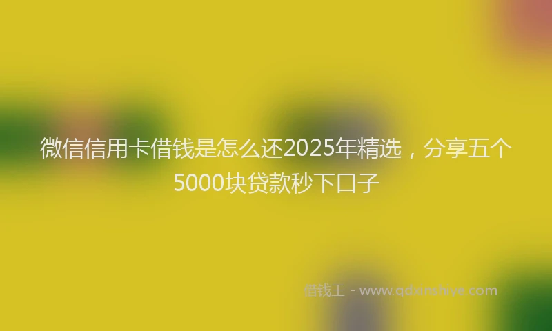 微信信用卡借钱是怎么还2025年精选，分享五个5000块贷款秒下口子